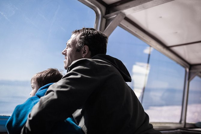 Victoria Whale Watching Tour on a Covered Vessel - What you get on the water with a covered, 360-degree viewing boat