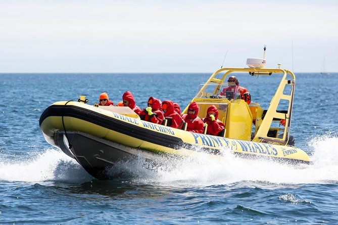 Victoria Zodiac Boat Whale Watching Adventure - Whale-sighting guarantee, and how to use it