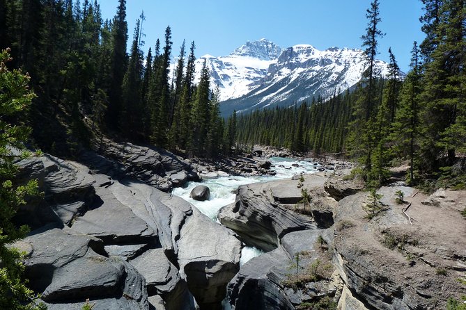 Wapiti - Uncover the Beauty of Western Canada (7-days) - My take: who should book this, and who should pick something else