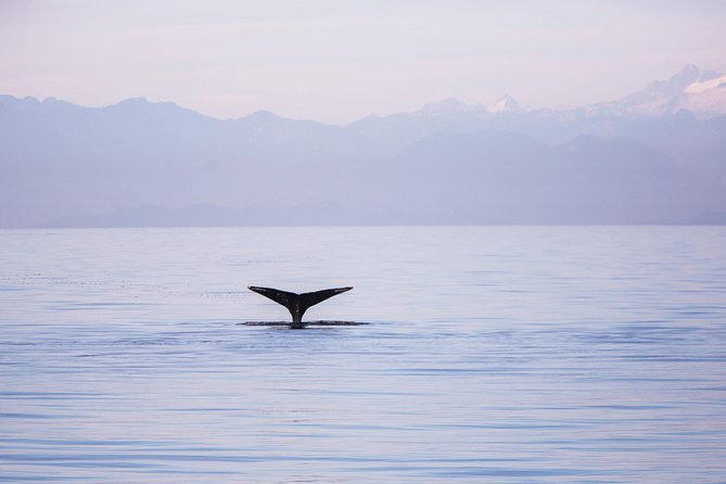 Whale-Watching Tour from Vancouver - Getting to Steveston: shuttle, parking, and the Richmond check-in