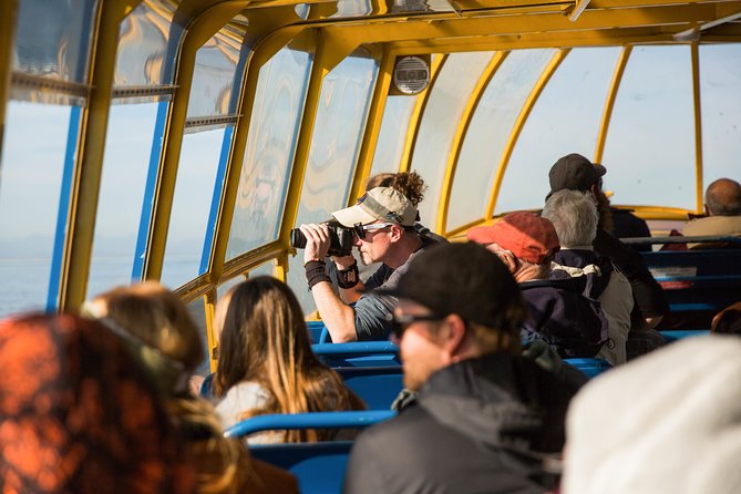 Whale-Watching Tour from Vancouver - Time on the water and the scenery you will notice more than you expect