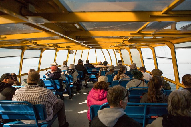 Whale-Watching Tour from Vancouver - Should you book this Vancouver whale-watching tour?