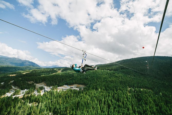 Whistler Sasquatch® Zipline - Price and Value: Is $118.28 Worth It?