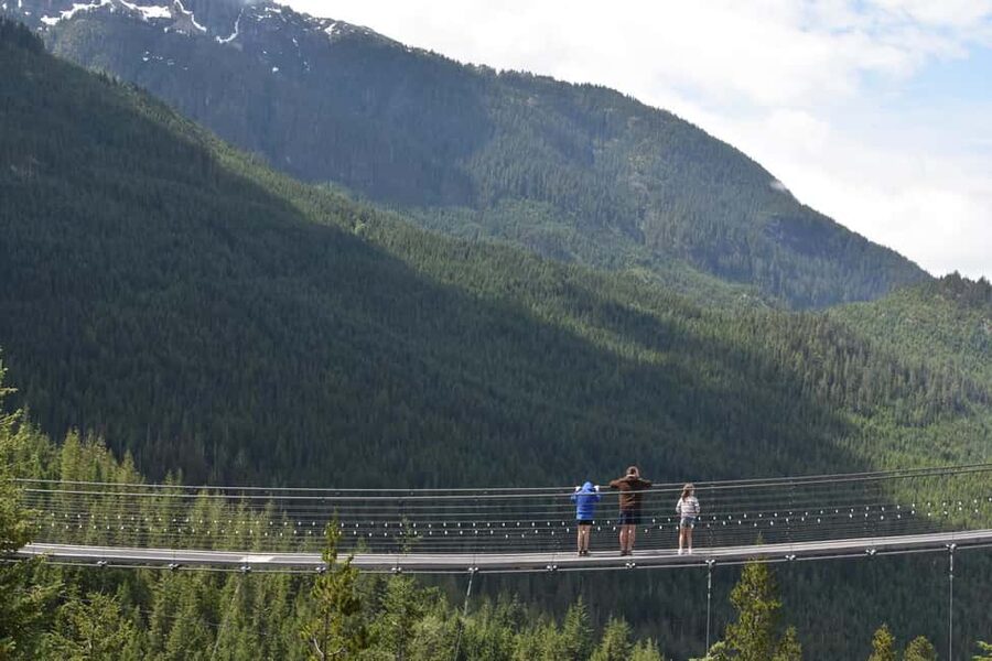 Whistler, Sea to Sky Gondola, and Shannon Falls Day Trip - Riding the Sea to Sky Gondola to Habrich Ridge