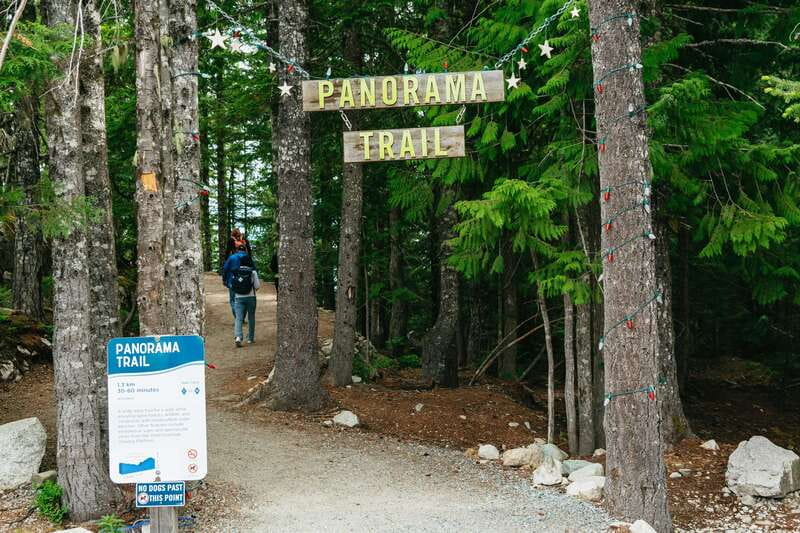 Whistler, Sea to Sky Gondola, and Shannon Falls Day Trip - Practical tips so the day feels smooth, not rushed