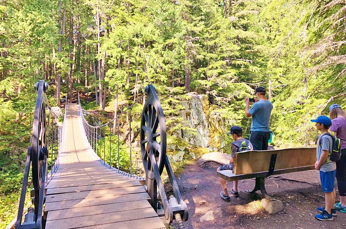 Whistler Train Wreck, Suspension Bridge & Hidden Waterfall Adventure - Price and value: what you really get for about $116.44