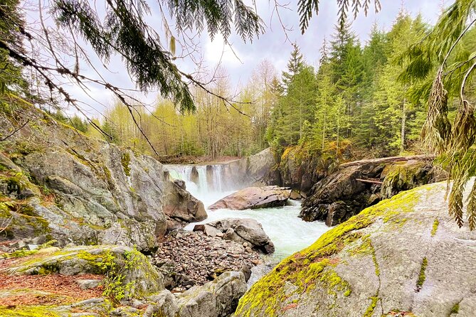 Whistler Train Wreck, Suspension Bridge & Hidden Waterfall Adventure - Stop 2: Cheakamus River, turquoise views, and the suspension bridge crossing