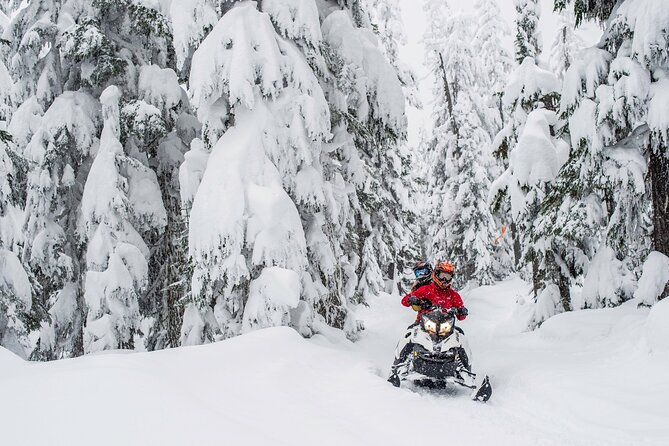 Whistler Wilderness Run Snowmobile Tour - Should you book this Whistler Wilderness Run snowmobile tour?