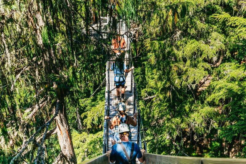 Whistler: Ziplining Experience - The nature lessons you can actually use during breaks