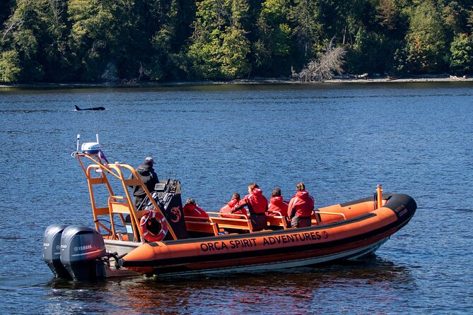 Winter Victoria Whale and Wildlife Zodiac Tour - Weather, clothing, and comfort: how to dress so you actually enjoy it