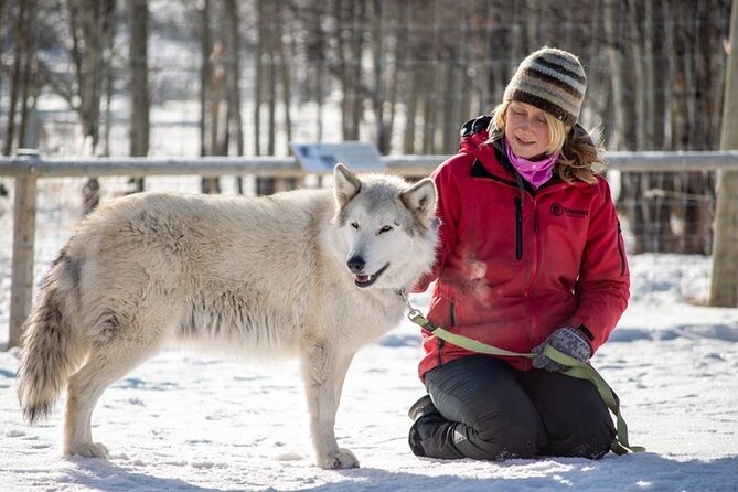 Yamnuska Wolfdog Sanctuary Walk Ticket in Canada - The Gift Shop Stop and Why It Feels Worth It