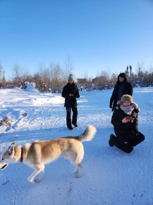 Yellowknife: Dog Sledding Tour - Key things I’d pay attention to