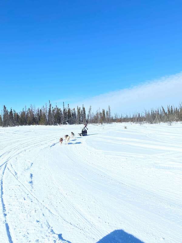 Yellowknife: Dog Sledding Tour - Riding the Yellowknife Winter Backcountry and Getting Those Moment Photos