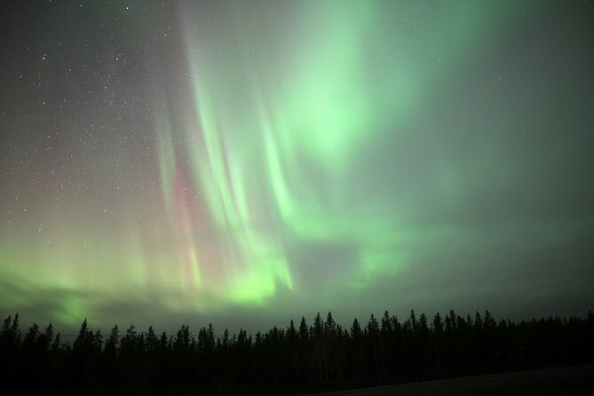 Yellowknife Winter 5 Days 4 Nights: Aurora and Day Activities - Day 5: airport transfer so you don’t cut it too close