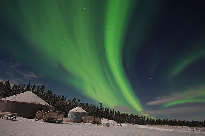 Yukon Aurora Viewing Package | 4 days - Day 2: Another city stop plus a second aurora outing