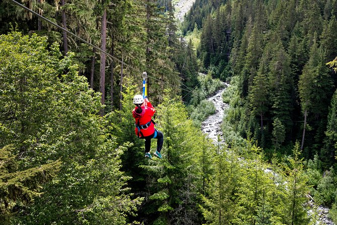 Zipline Adventure in Whistler - Whistler Ziplining Above Old-Growth Rain Forest