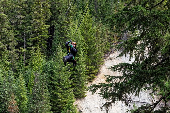 Zipline Adventure in Whistler - What Happens Once You Start: Bridges, Platforms, Trails