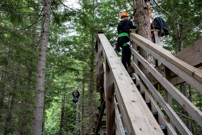 Zipline Adventure in Whistler - The Real Workout: Stairs and Uphill Bits Between Lines